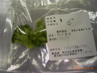 RIMG0130.JPG